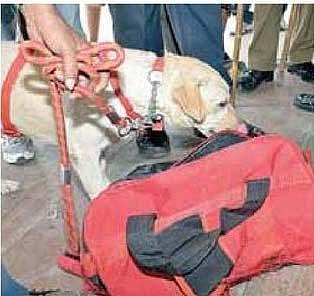 குண்டுவெடிப்பு விசாரணையில் திருப்பம்: சென்னையில் அடுத்தடுத்த மிரட்டல்களால் மக்கள் பீதி