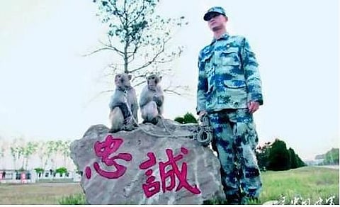 சீன ராணுவத்தில் ‘குரங்குப் பட்டாளம்’ : விமானப்படையில் இணைப்பு