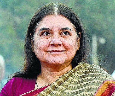 நதிகளை இணைக்கும் மோடியின் திட்டம் ஆபத்தானது: மேனகா காந்தி விமர்சனம்