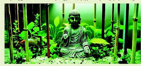 கவனித்தலே வாழும் கலை