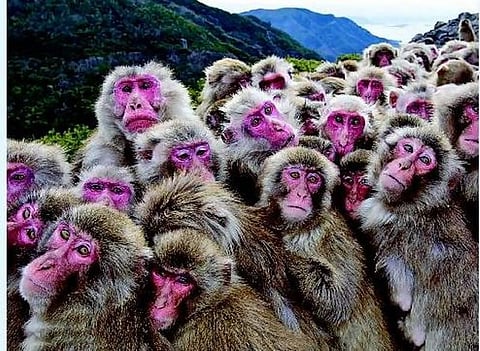 கைகொடுக்கும் புதிய வீரர்கள்