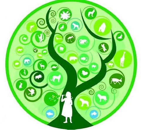 பூமியின் பொக்கிஷங்கள்: சர்வதேச பல்லுயிரிய நாள்-மே 22