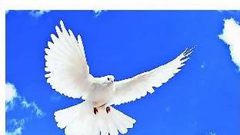 மூன்று அறிவுரைகள்