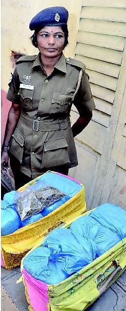 பணம் கொழிக்கும் தொழிலாக மாறும் கஞ்சா விற்பனை: புதிய கடத்தல்காரர்களை பிடிக்க முடியாமல் திணறும் போலீஸ்