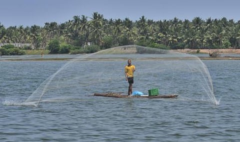 மோடி வாக்குறுதியை நிறைவேற்ற தவறிவிட்டார்: தமிழக மீனவ அமைப்புகள் அதிருப்தி