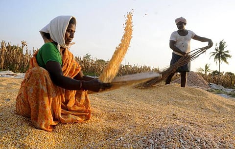 வேளாண் துறையில் 25% வளர்ச்சி: மத்திய பிரதேசம் சாதனை - ஜிடிபி 11 சதவீதம் அதிகரிப்பு