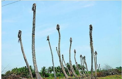 நெல்லு விளைஞ்ச பூமியில புல்லுகூட முளைக்கலை..!- ஒரத்துப்பாளையம் அணை: தீர்வுகள் சாத்தியமே!