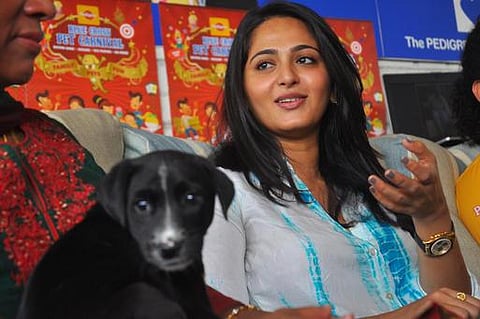 அனுஷ்கா பேசினால்..!