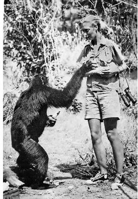 பூமியைக் காக்க உலகம் சுற்றும் குடால்