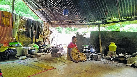 பரிதாப நிலையில் சின்னார்பதி பழங்குடிகள்