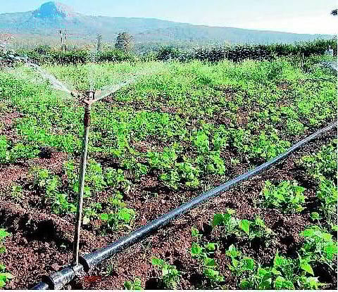 நிறைந்த சாகுபடிக்கு...