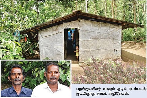 ஒரு காலத்தில் அடிமைகள்; இன்று வசதி படைத்த விவசாயிகள் - முன்னோடிகளாக திகழும் பழங்குடிகள்