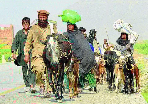 பாகிஸ்தானில் தலிபான்கள் மீதான தாக்குதல் தீவிரம்: 20 பேர் பலி- வஜிரிஸ்தானிலிருந்து 1.5 லட்சம் பேர் வெளியேறினர்