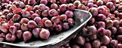 வெங்காயம் பதுக்கல்: மாநில அரசுகள் மீது மத்திய அரசு அதிருப்தி