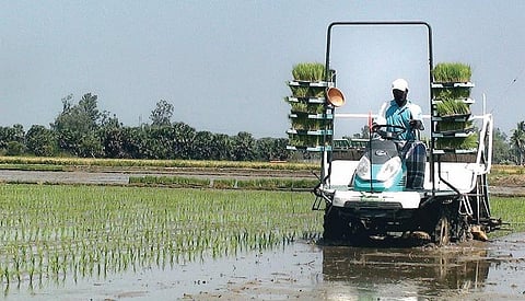 விவசாயிகளுக்கு குறைந்த வாடகையில் வேளாண் கருவிகள்- வேளாண்மைப் பொறியியல் துறை வழங்குகிறது