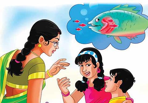 கடல் மீன் ஏன் உப்புக் கரிப்பதில்லை?