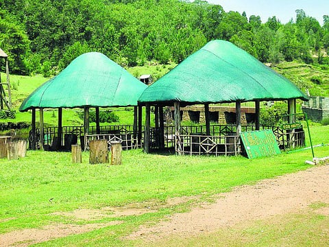 கொடைக்கானலில் மீண்டும் டிரெக்கிங் சுற்றுலா தொடக்கம்- புதிய மலையேற்றப் பாதைகள் அமைக்கும் பணி தீவிரம்