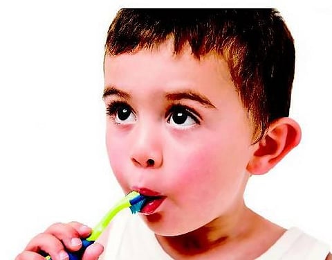 பற்பசையில் மாட்டின் குளம்பு