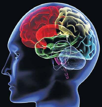 நினைவாற்றலை அதிகரிக்கும் உணவுகள்