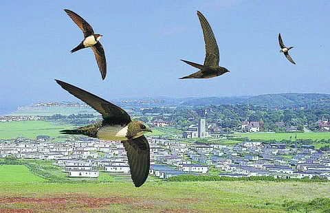 குளிக்கக் குற்றாலம் இருக்குமா?