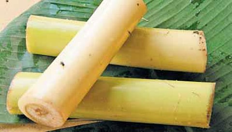 சர்க்கரை நோய்க்கு மாற்றுத் தீர்வு என்ன?