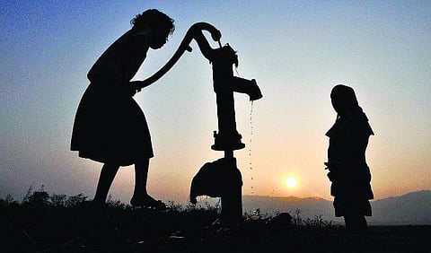 பள்ளிப் பாடமானது நீர்... நிலம்... வனம்!