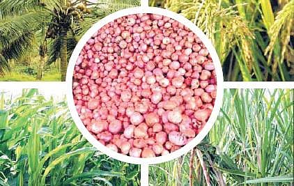 தகவல் பலகை: பயிர் காப்பீடு திட்டம்