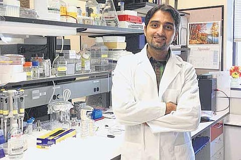 ஆர்வம், திறமை, தொழில்... - யாருக்கு எந்தத் தொழில் -2