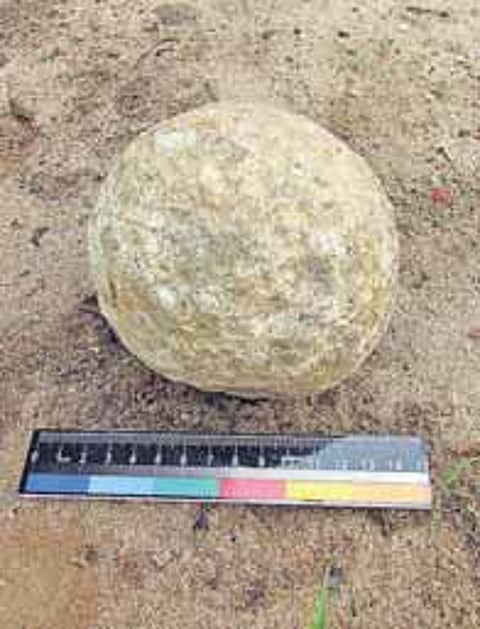 கோட்டை மேட்டில் புதைந்து கிடக்கும் அரிய வரலாற்று புதையல்: ராசேந்திரசோழனின் கடற்படைத் தளமும் இருந்ததாக ஆய்வில் தகவல்