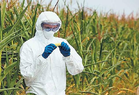 தடய அறிவியல் துறையில் பணி