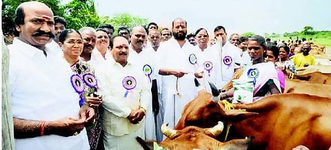 இலவச கால்நடைகள் திட்டத்தால் பொருளாதாரம் உயர்ந்துள்ளது: அமைச்சர் டி.கே.எம்.சின்னையா பேச்சு