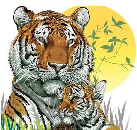 ஒரு குட்டிப் புலியின் குரல்