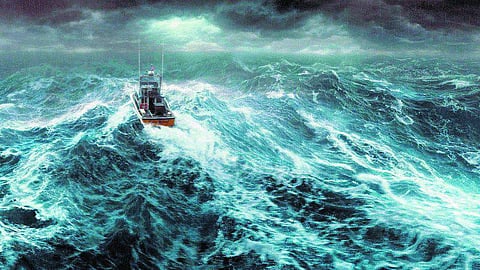 நீவாடுகளுடன் ஒரு ஆட்டம்!