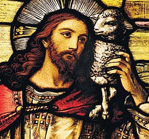 உவமைகள் வழியே பேசுவேன்