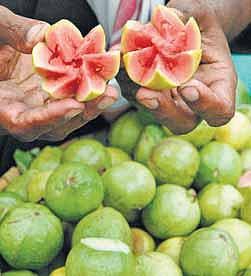 ரத்த அணுக்களைப் பெருக்கும் முருங்கைக் கீரை