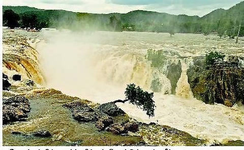 ஒகேனக்கல்லில் வெள்ளம்: குளிக்க முடியாமல் ஏமாற்றம்