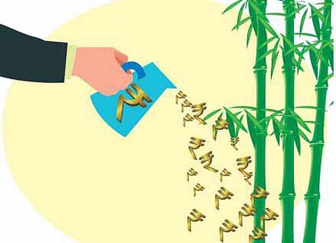 சீன மூங்கில்போல் பலன் தரும் முதலீடு!