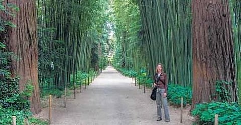 ஒரு மனிதப் புல்லாங்குழல்!