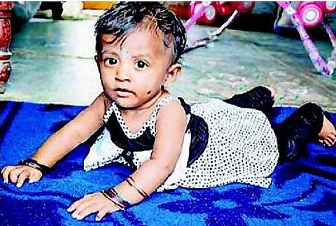 கோழி கொத்தி 8 மாத குழந்தை பரிதாப பலி