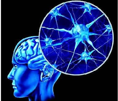 மூளையைப் பற்றி 3 கட்டுக்கதைகள்