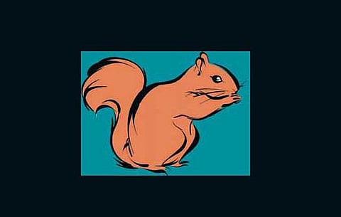 அணில் - குழந்தைப் பாடல்