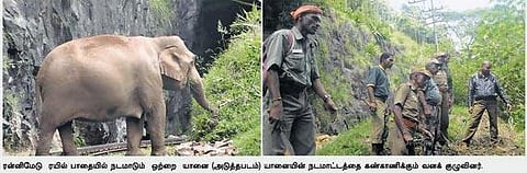 ரயில் பாதையில் நடமாடும் ஒற்றை யானையை கண்காணிக்க குழு