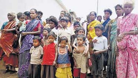 கொடைக்கானல் மலைக் கிராமத்தில் 2 மாதத்தில் அடுத்தடுத்து 6 குழந்தைகள் மரணம்: வெளிச்சத்துக்கு வராத அதிர்ச்சி தகவல்