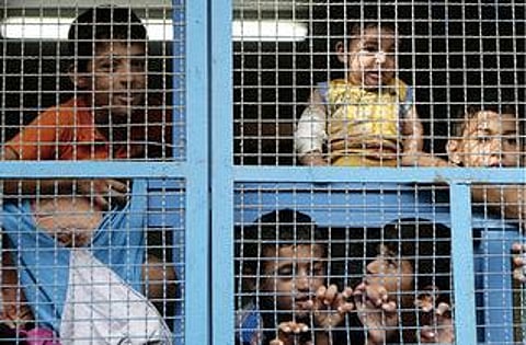 காஸாவில் 4 லட்சம் குழந்தைகளுக்கு உளவியல் பாதிப்பு: யுனிசெஃப்