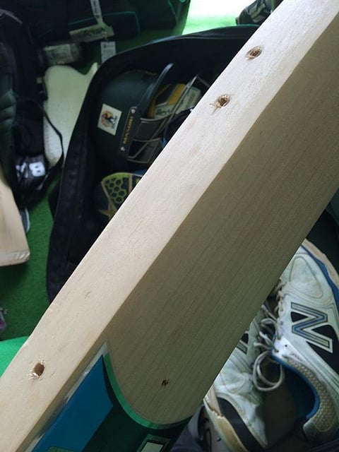 போதைப்பொருள் சோதனைக்காக நியூசி. கிரிக்கெட் வீரர் மட்டையில் ஓட்டைகளைப் போட்ட யு.எஸ். அதிகாரிகள்