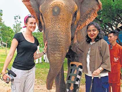 யானைகளின் தோழி!