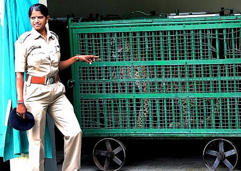 சிங்கம், சிறுத்தைகளைக் காக்கும் துணிச்சலரசி: கிர் பூங்காவில் ஒரு கெத்துக் கதை!