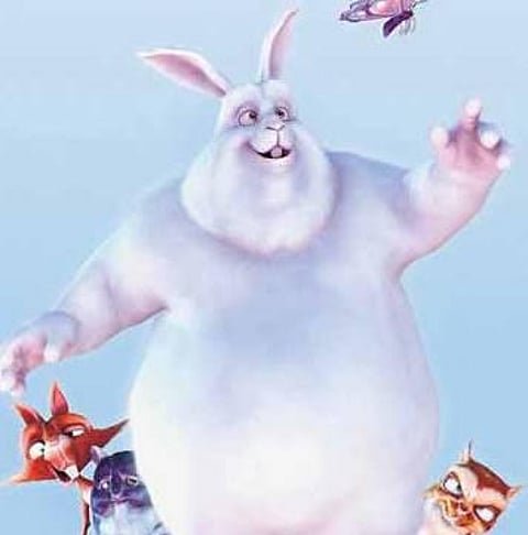 முயலுடன் மோதும் மூன்று பேர்