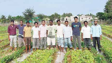 சத்தும் உண்டு, சுவையும் உண்டு