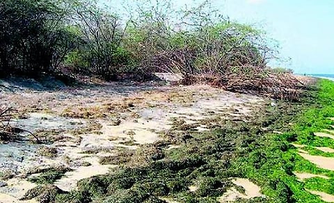 மர்மப் பிரதேசத்தில் பயணம்